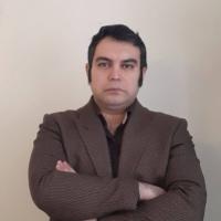 امیرحسین برادران